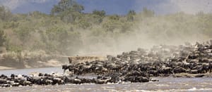 Great Migration